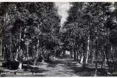 Blz-008a-Amersfoort-Boschgezicht-Birkhoven_DxO