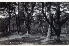 Blz-008b-Amersfoort-Boschgezicht-Birkhoven_DxO