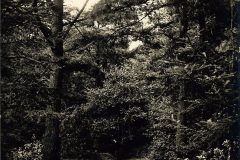 Blz-013b-Amersfoort-Fietspad-Birkhoven_DxO