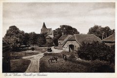 Blz-015a-Veluwe-gezicht-op-Garderen_DxO