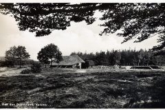 Blz-019b-Veluwe-aan-den-Boschrand_DxO