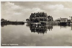Blz-022a-Reeuwijkse-en-Huipwijkse-plassen-Roeien-op-de-Vogelenzang_DxO