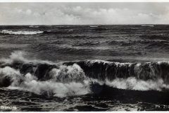 Blz-030a-Branding_DxO