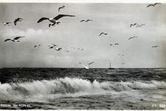 Blz-031b-Storm-op-komst_DxO