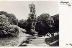 Blz-035b-Den-Haag-Scheveningsche-Bosch-met-waterpartij_DxO