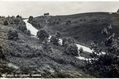 Blz-067b-Rheden-weg-naar-de-Posbank_DxO