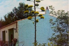 19720715-Tossa-huisje-met-agave