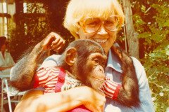 19770715-Tossa-de-Mar-Terras-m-Bea-Engel-met-chimpansee